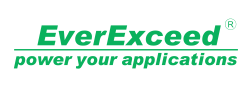 Everexceed logo